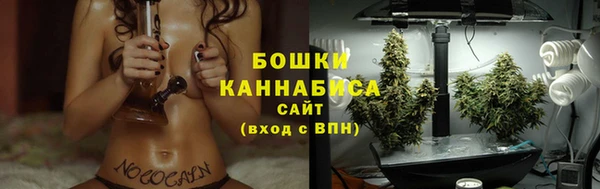 стаф Беломорск