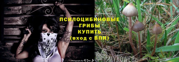 стаф Беломорск