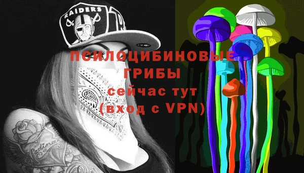 меф Белокуриха