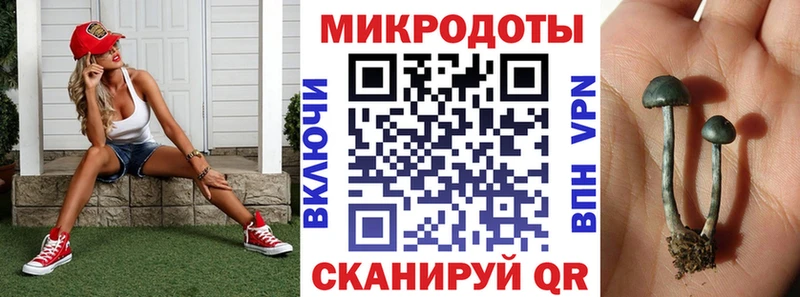 MEGA ТОР  Реутов  Галлюциногенные грибы мицелий  что такое наркотик 
